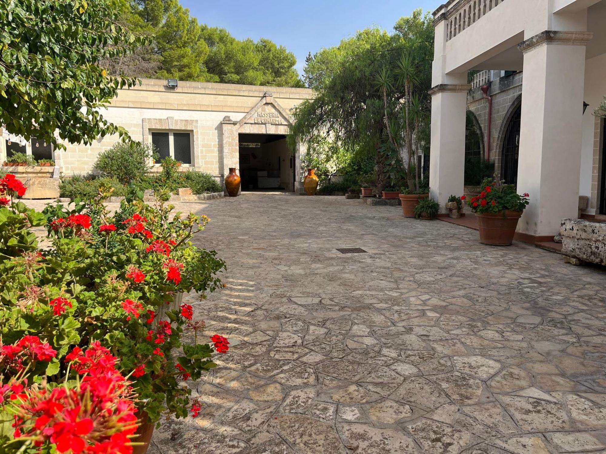 Masseria La Camardia Sava Εξωτερικό φωτογραφία