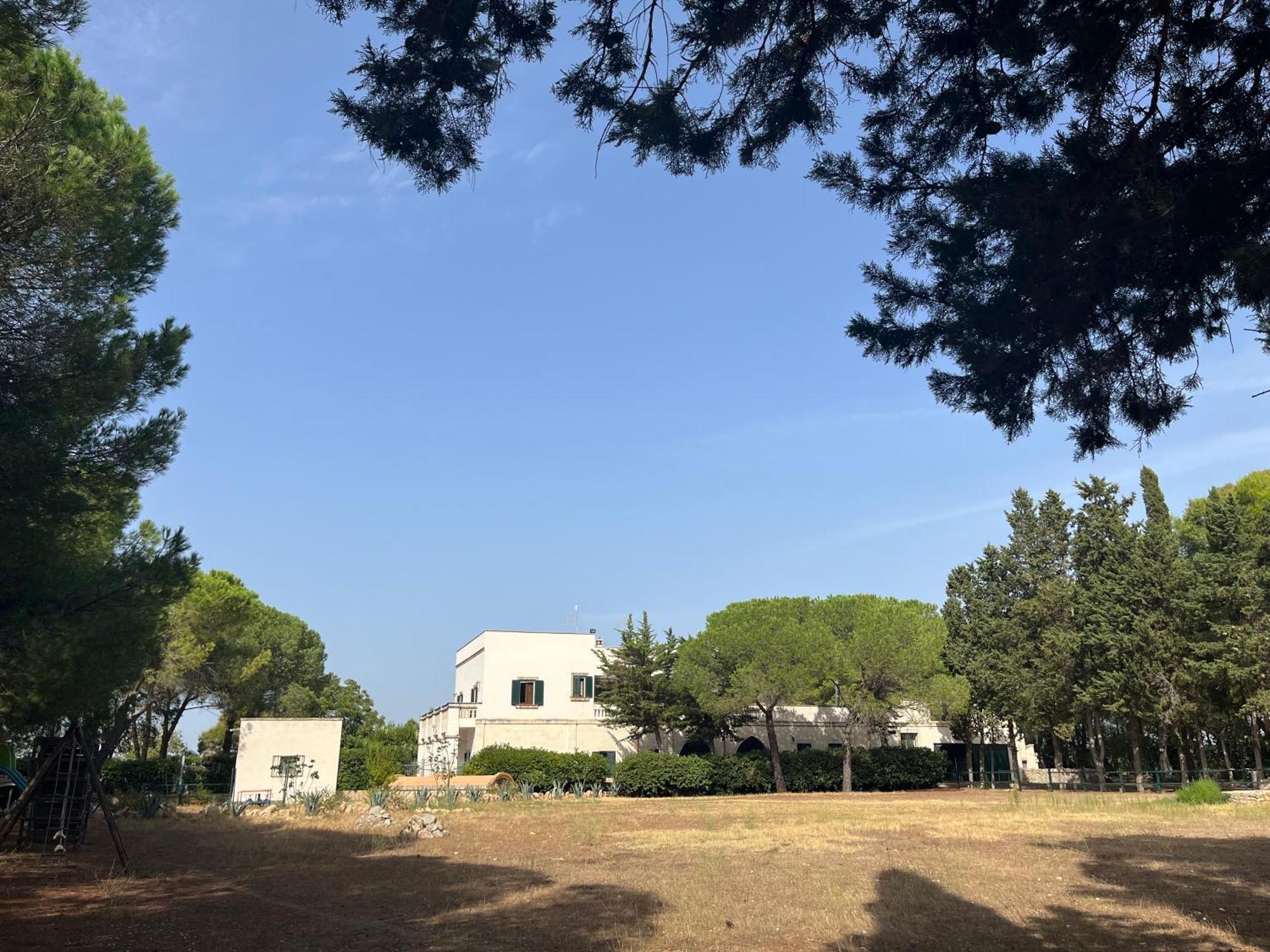 Masseria La Camardia Sava Εξωτερικό φωτογραφία
