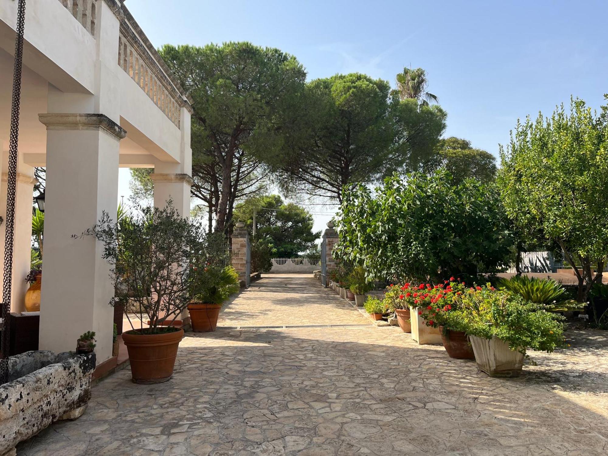 Masseria La Camardia Sava Εξωτερικό φωτογραφία