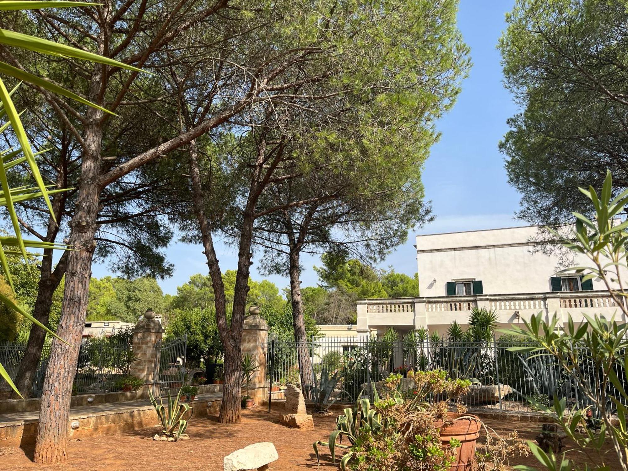 Masseria La Camardia Sava Εξωτερικό φωτογραφία