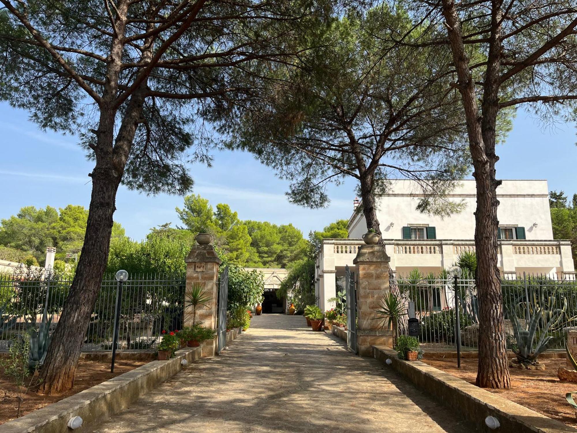 Masseria La Camardia Sava Εξωτερικό φωτογραφία