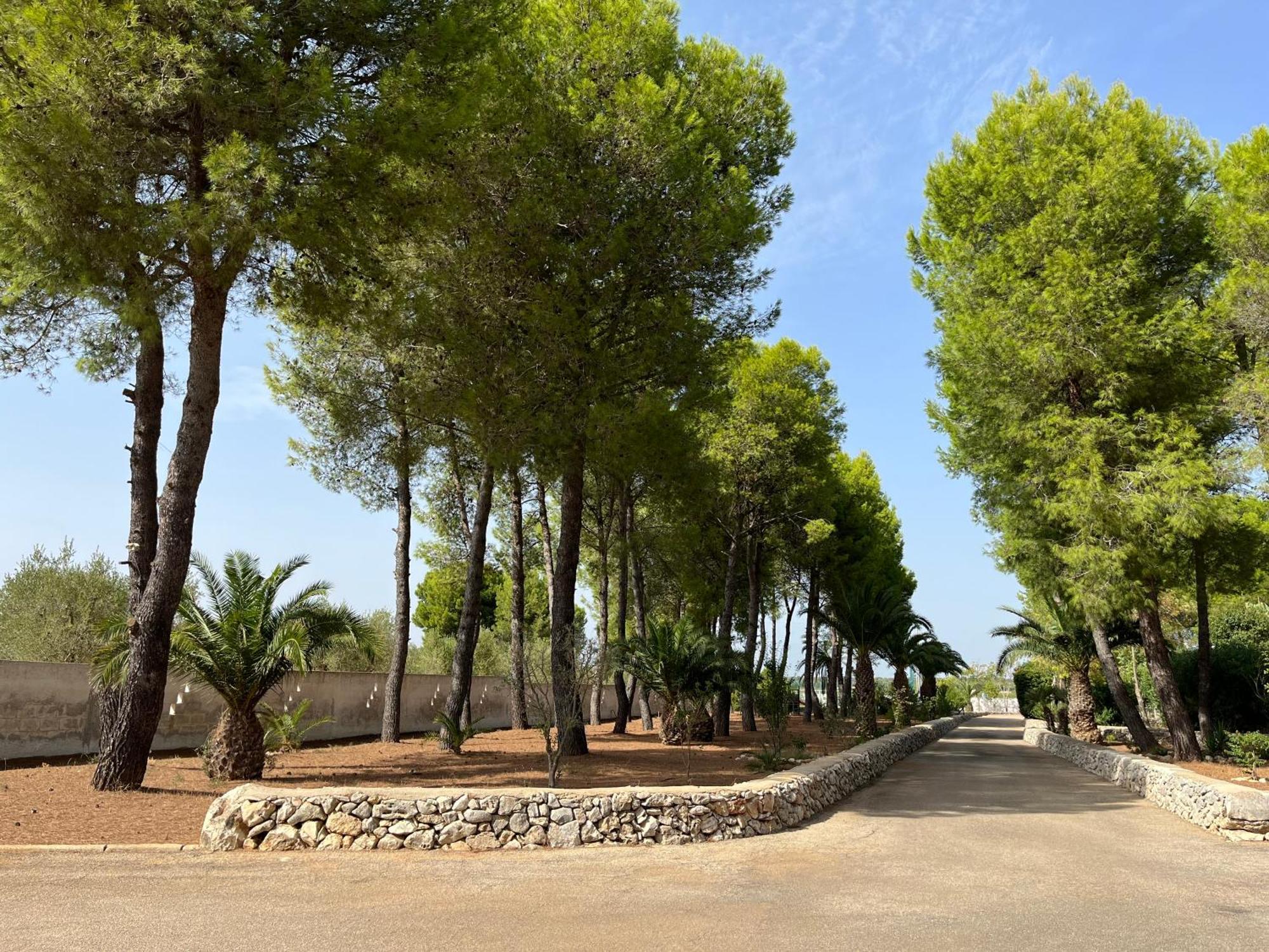 Masseria La Camardia Sava Εξωτερικό φωτογραφία