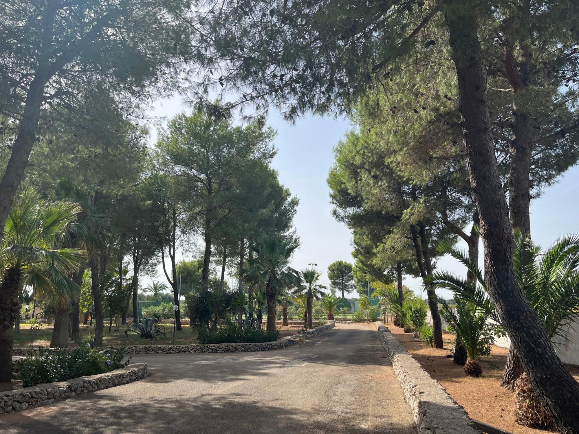 Masseria La Camardia Sava Εξωτερικό φωτογραφία