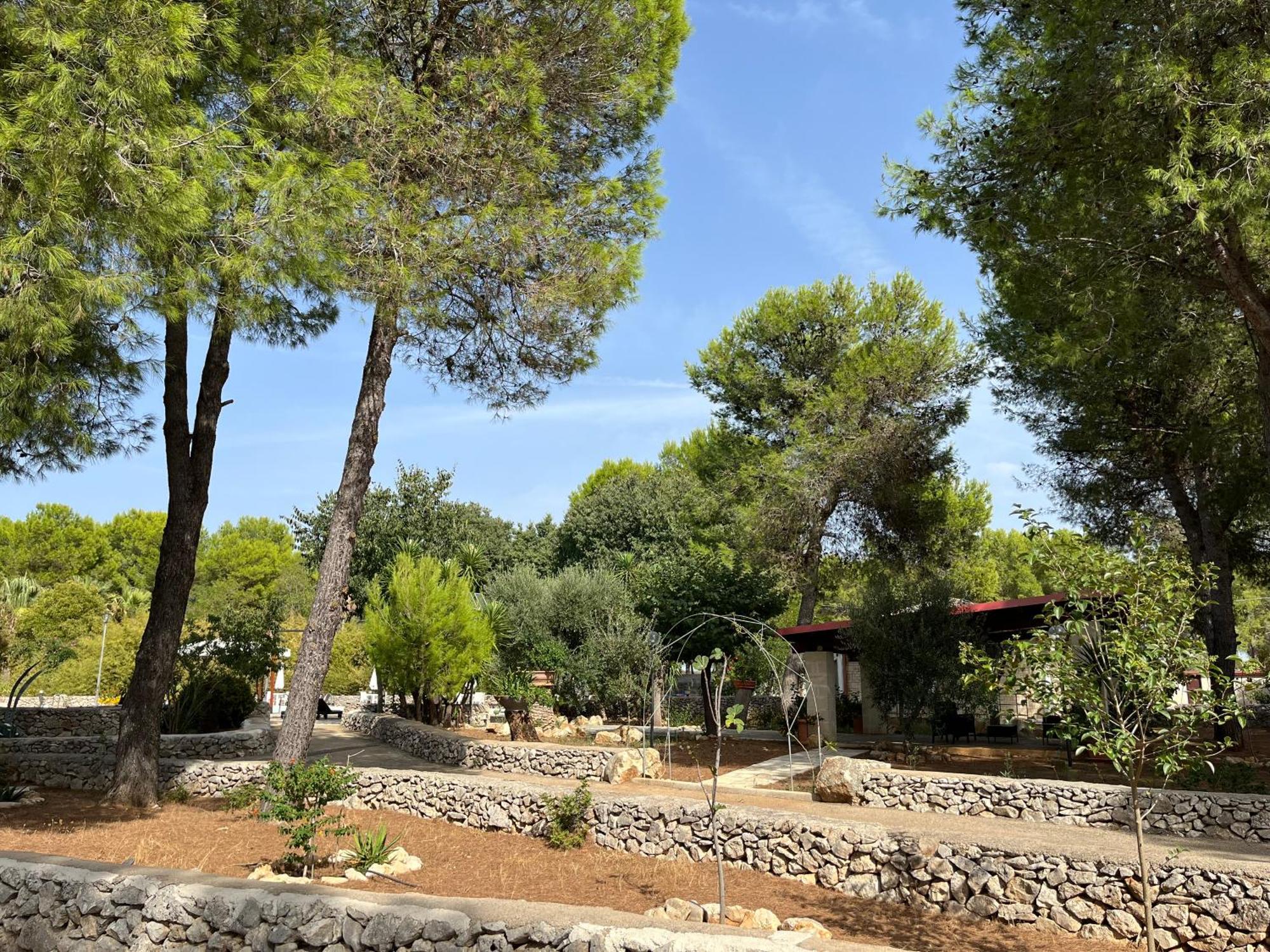 Masseria La Camardia Sava Εξωτερικό φωτογραφία