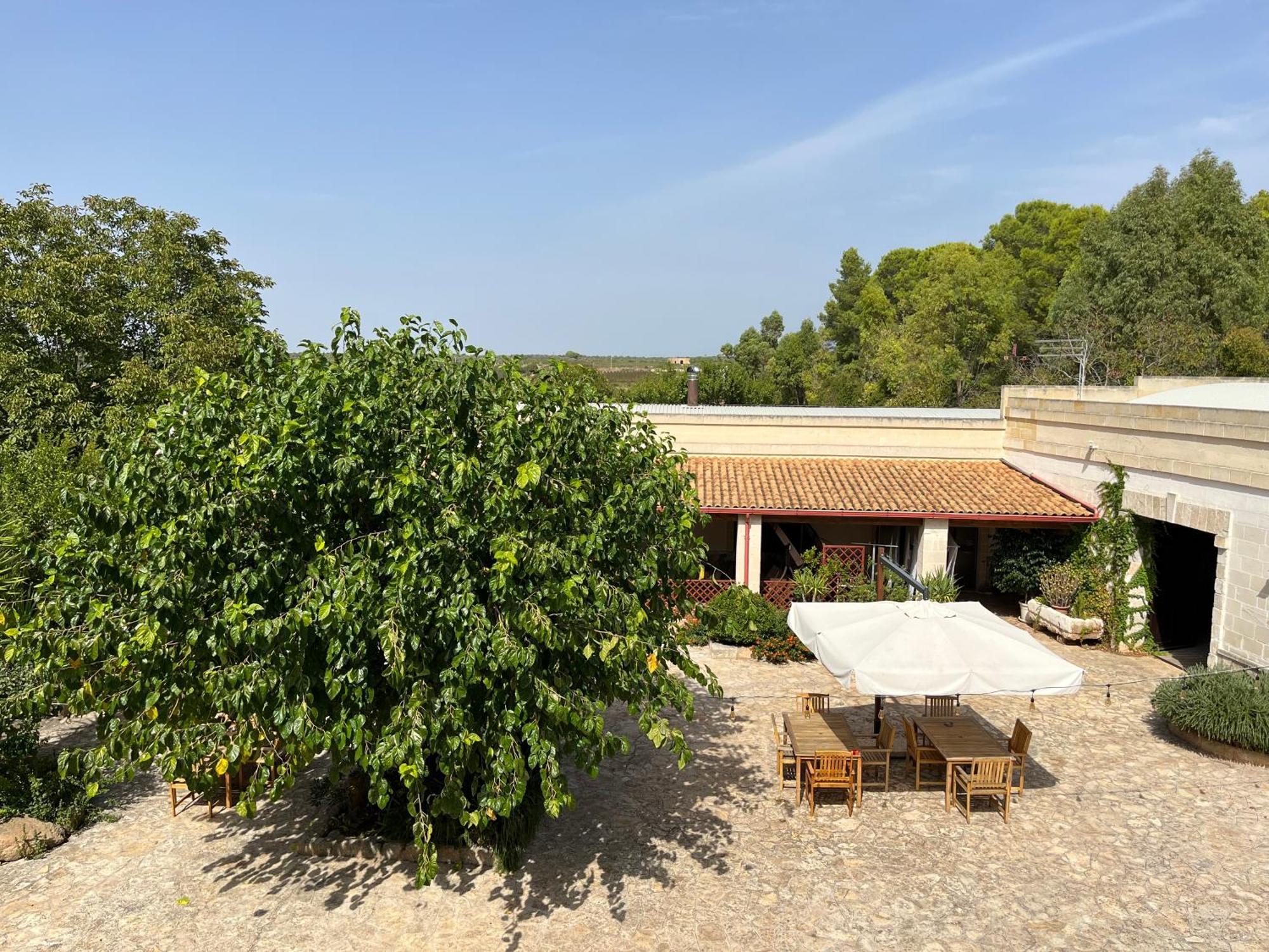 Masseria La Camardia Sava Εξωτερικό φωτογραφία