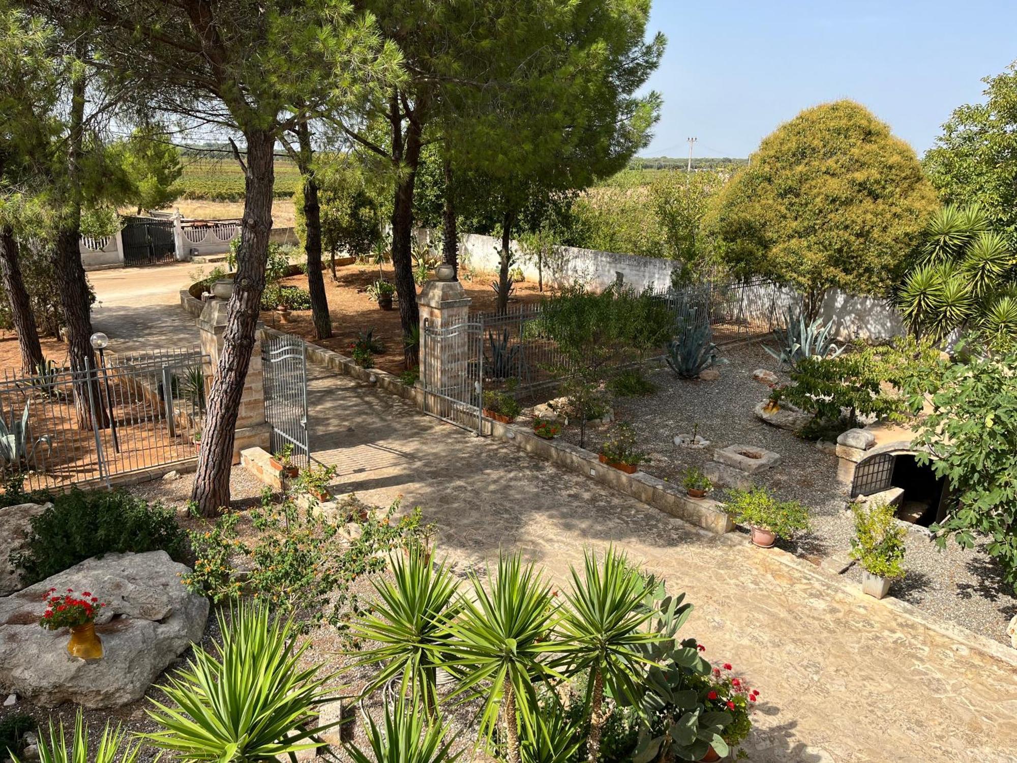 Masseria La Camardia Sava Εξωτερικό φωτογραφία