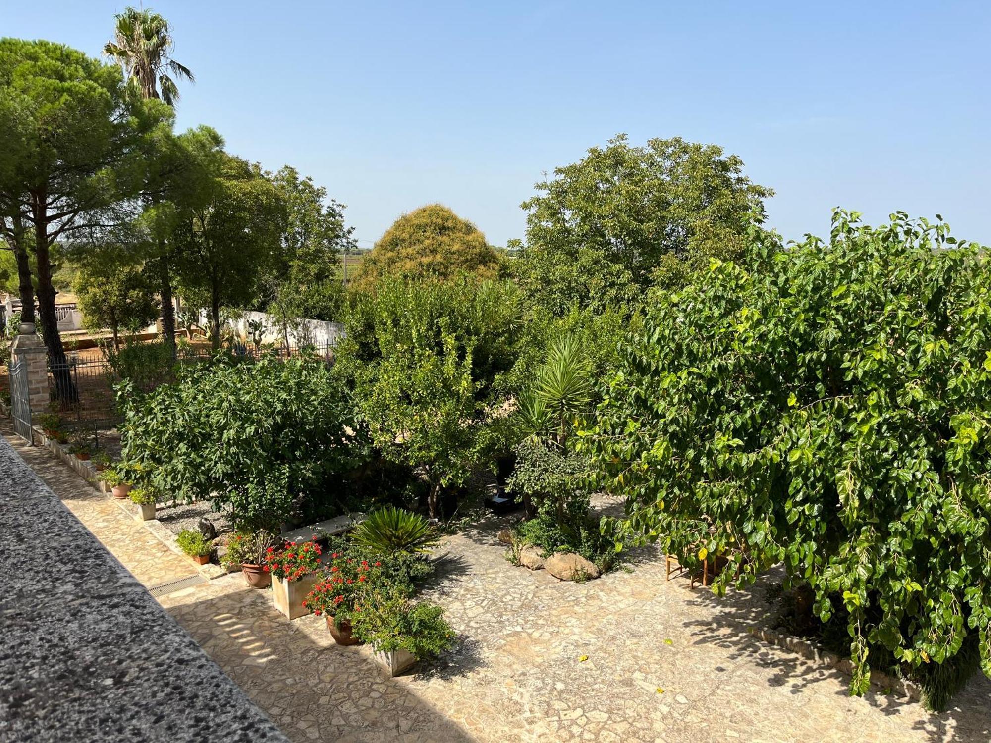 Masseria La Camardia Sava Εξωτερικό φωτογραφία
